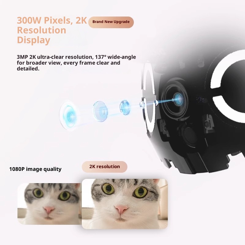 Enabot ROLA Mini Smart Robot I - Ros Robot ulasan dan harga