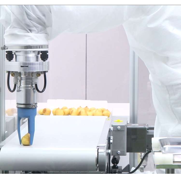 6-Axis CNC Robotic Arm with Li - Robot Gripper ulasan dan harga